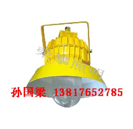 供应BPC8710 防爆平台灯 BPC8710 bpc8720 gad208